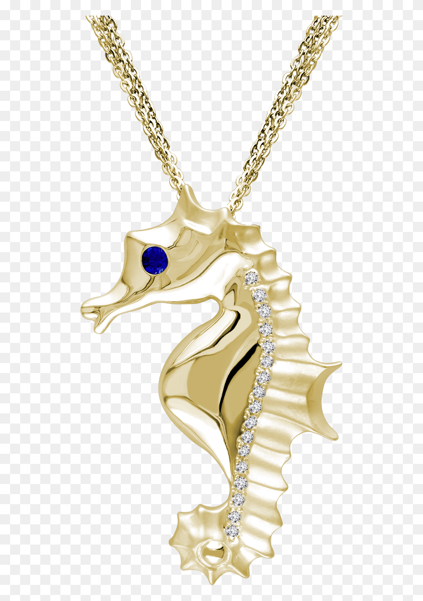 523x1132 Blue Marlin Jewelry Pendant, Mammal, Animal, Sea Life Descargar Hd Png