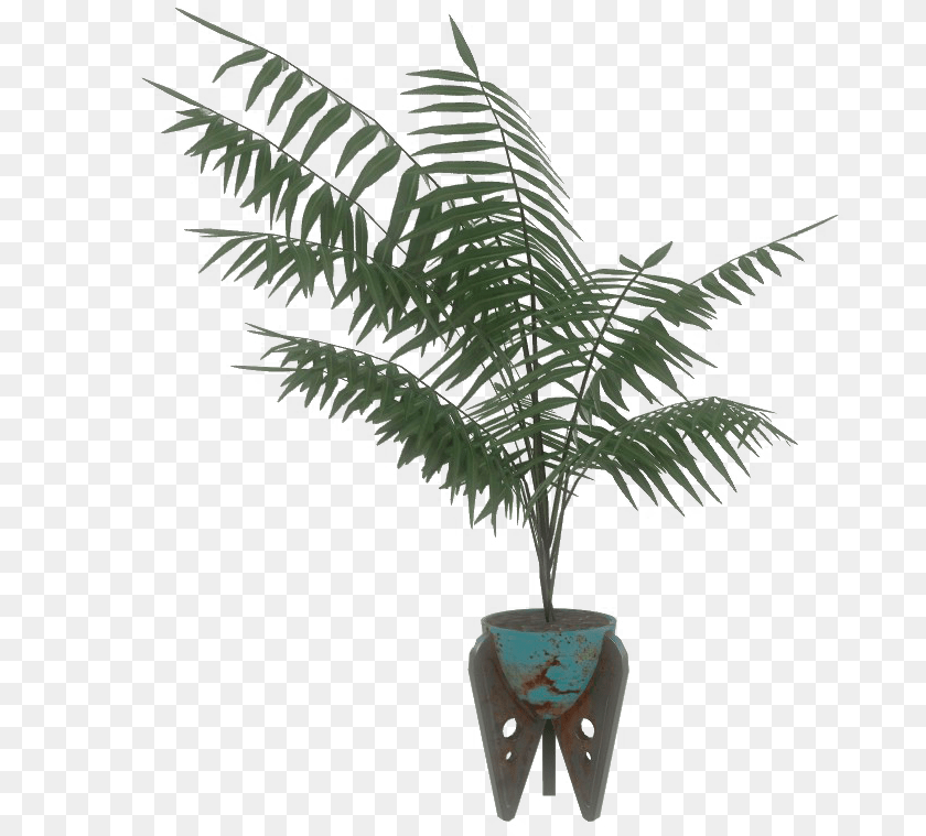 689x759 Blue Potted Plant Potted Plants, Fern, Palm Tree, Tree, Leaf PNG