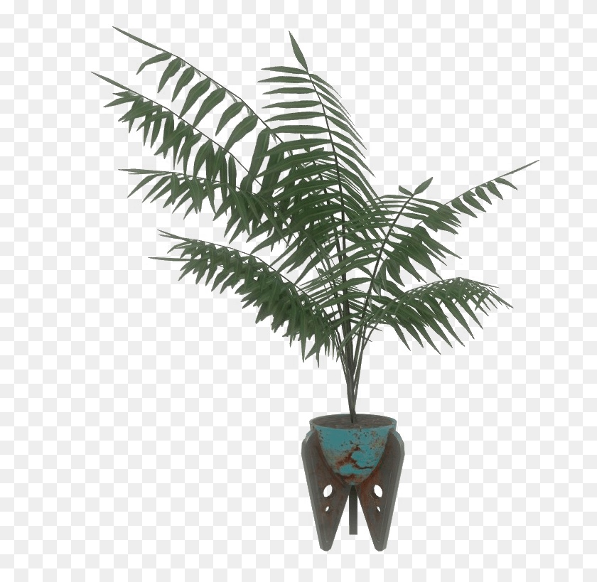 689x759 Blue Potted Plant Roystonea, Tree, Palm Tree, Arecaceae HD PNG Download