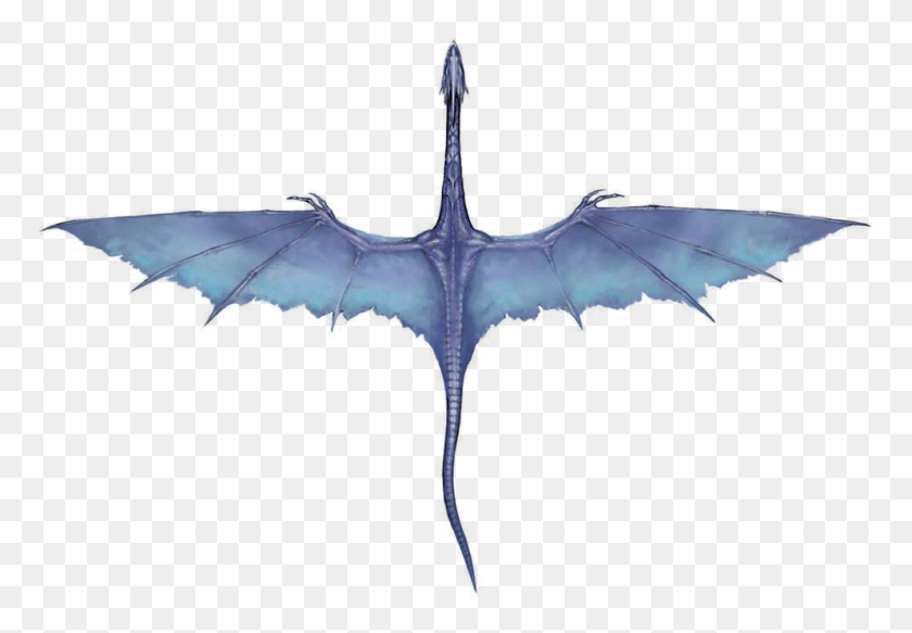 993x667 Синий Фиолетовый Дракон Синяя Лапа, Человек, Человек, Воздушный Змей Hd Png Скачать