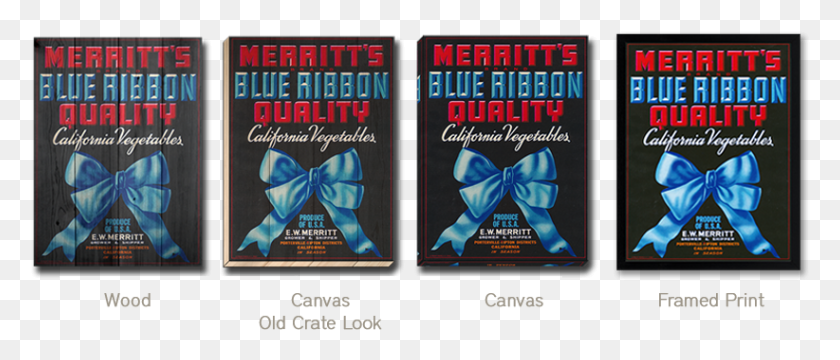 822x317 Blue Ribbon Book Cover, Advertisement, Poster, Flyer HD PNG Download