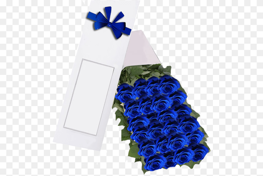Blue Rose, Flower, Plant, Flower Bouquet, Flower Arrangement PNG