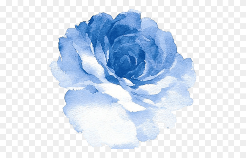 509x481 Blue Rose Clipart Tumblr Cartoon Blue Watercolor Flower, Plant, Carnation, Blossom HD PNG Download