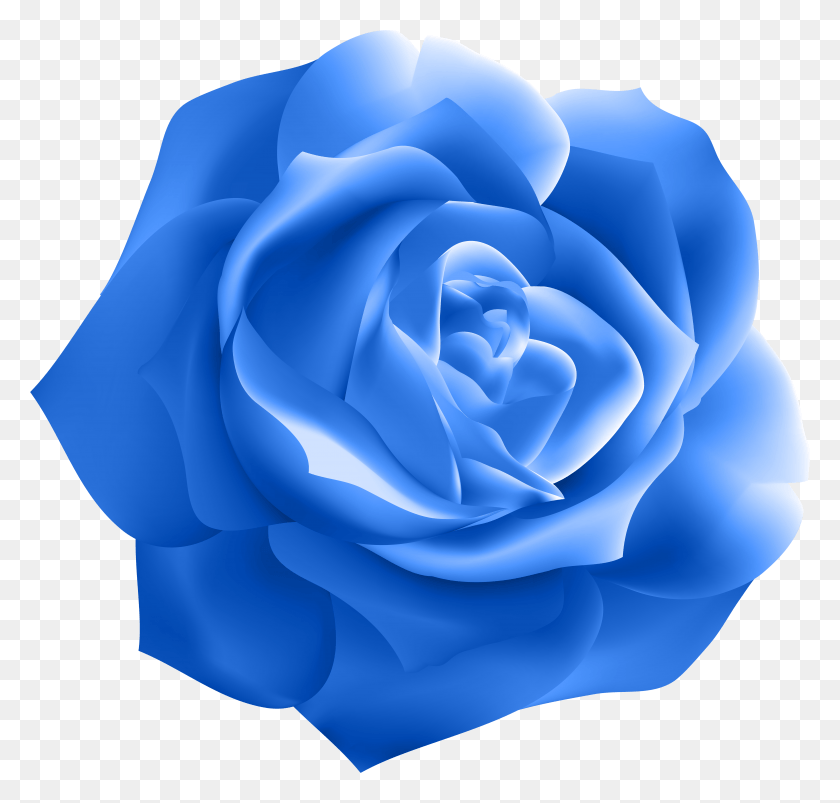5944x5667 Голубая Роза Deco Clip Art Gallery Yopriceville Высокое Качество, Цветок, Растение, Цветение Hd Png Скачать
