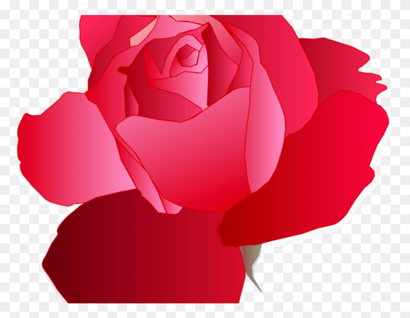 1125x856 Голубая Роза Рисунок Цветок Бесплатный Коммерческий Клипарт Садовый Клип Арт, Растение, Роза, Цветение Hd Png Скачать