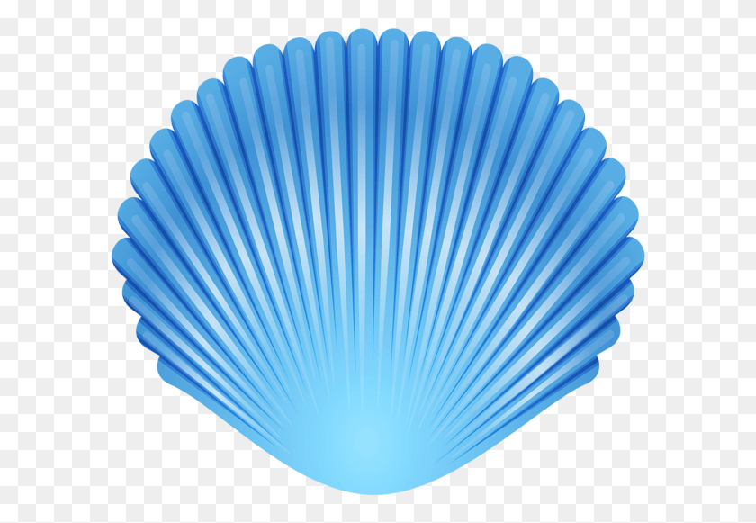 595x521 Blue Seashell Transparent Clip Art Image, Invertebrate, Sea Life, Animal HD PNG Download