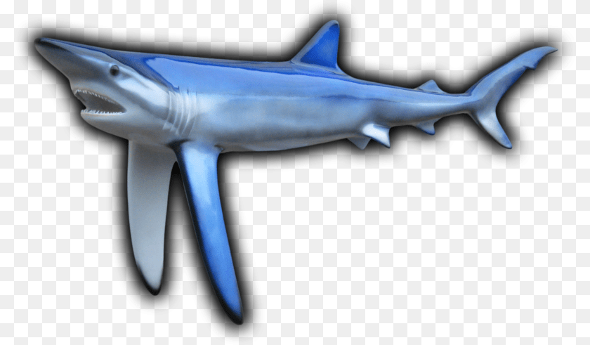 Blue Shark Fish Mount Fish Shark, Animal, Sea Life Sticker PNG
