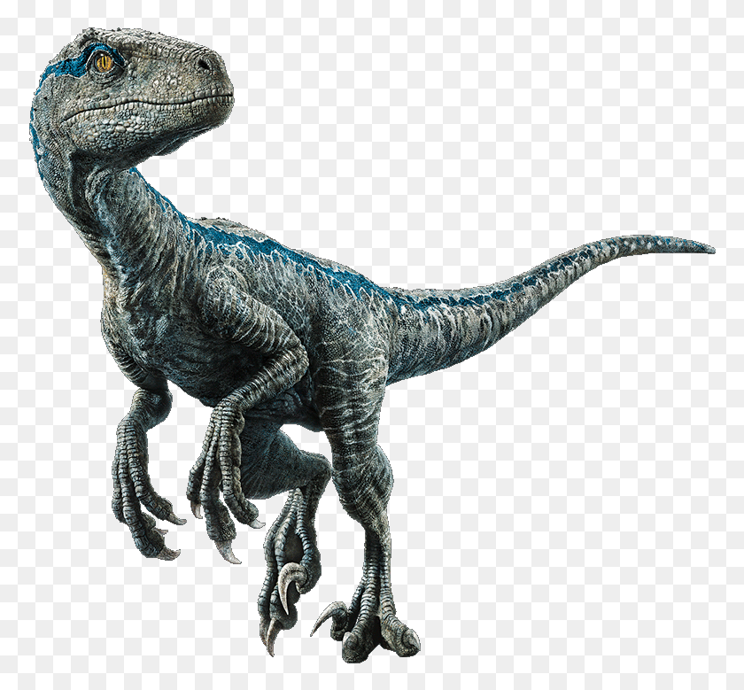 776x719 Blue The Velociraptor V4 By Sonichedgehog2 Velociraptor Azul, T-Rex, Dinosaurio, Reptil Hd Png