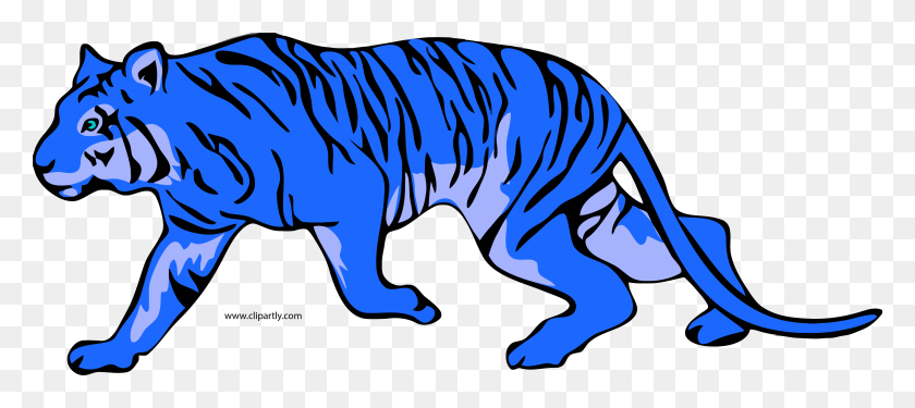 4251x1720 Blue Tiger Clipart Gambar Kartun Harimau Sumatera, Mammal, Animal, Graphics HD PNG Download