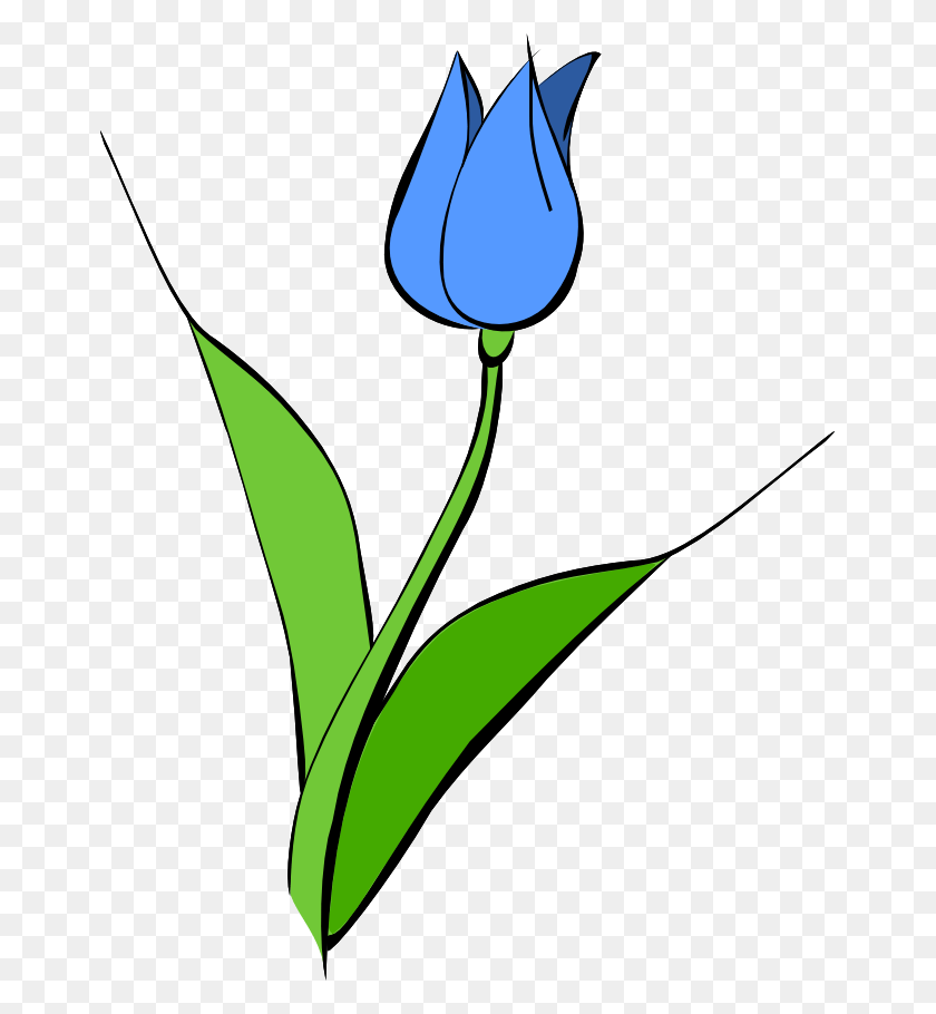659x850 Синий Тюльпан Клип Арт Синий Тюльпан Клипарт, Растение, Цветок, Цветение Hd Png Скачать