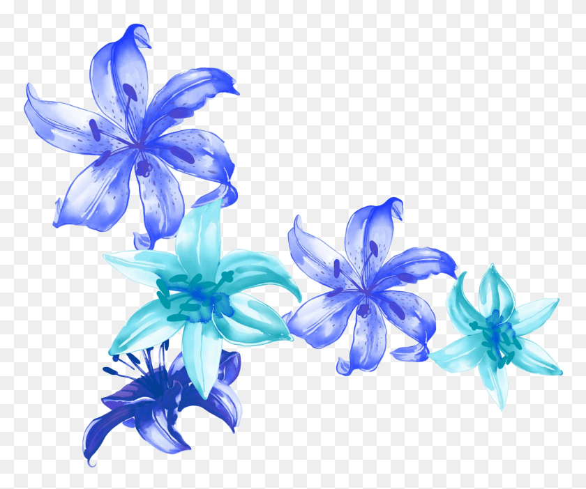 1901x1567 Pintura A La Acuarela Azul Pétalo, Planta, Flor, Flor Hd Png