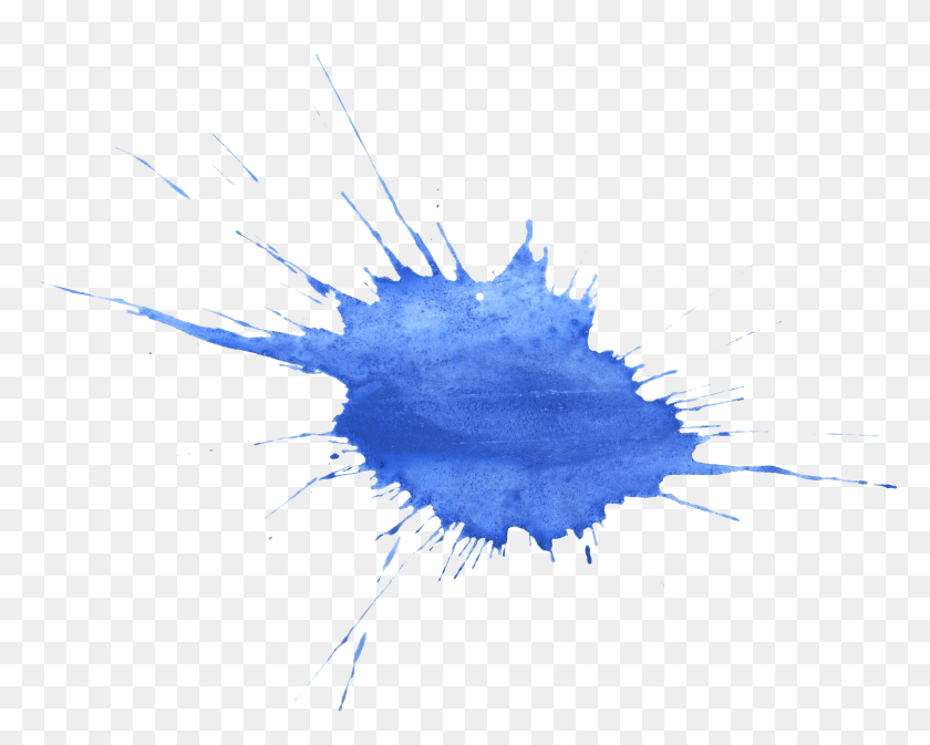 2510x1973 Blue Watercolor Splatter Transparent Blue Watercolor Splatter, Sea Life, Animal, Invertebrate HD PNG Download