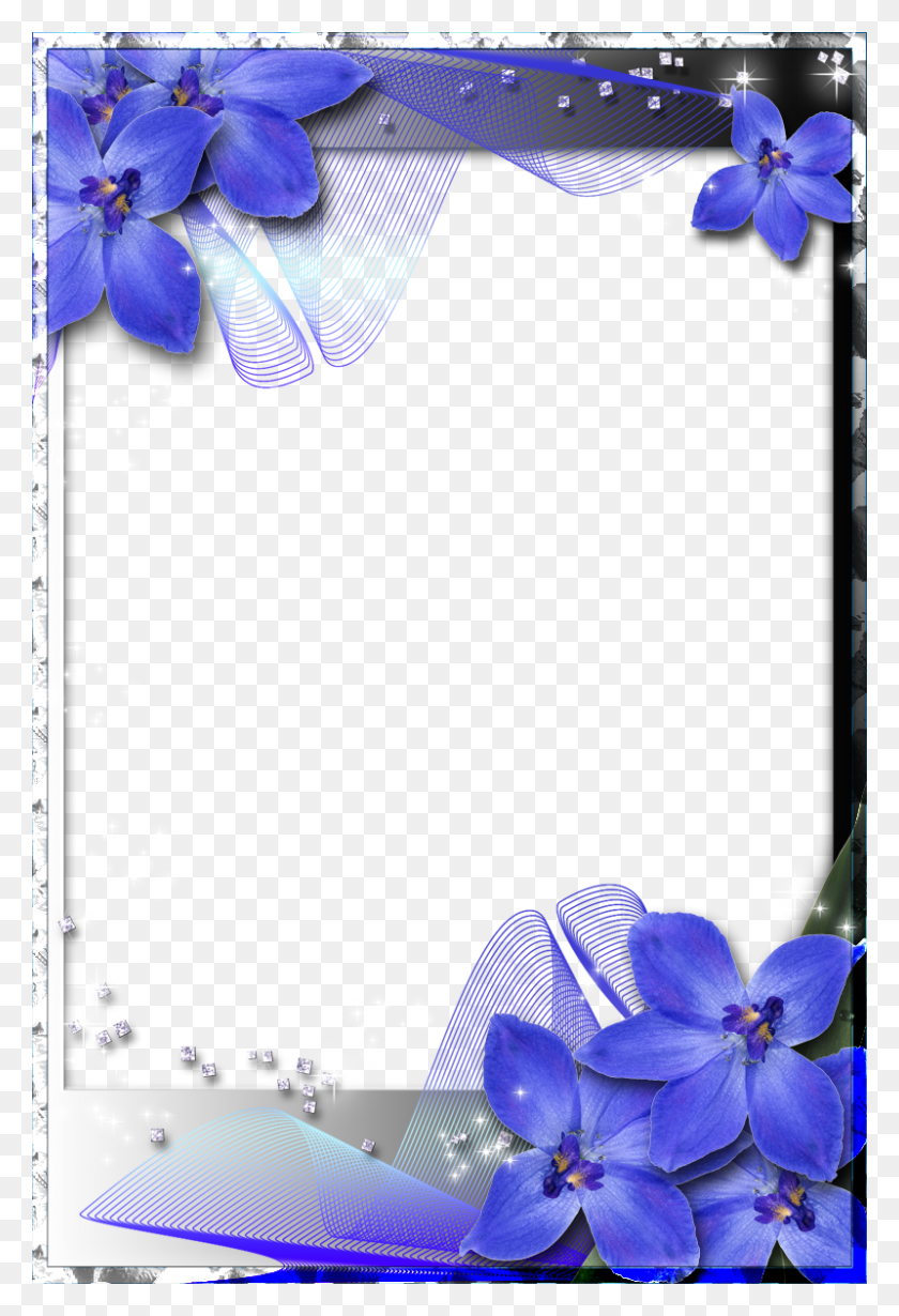 800x1200 Blue Wedding Borders And Frames, Scooter, Vehicle, Transportation HD PNG Download
