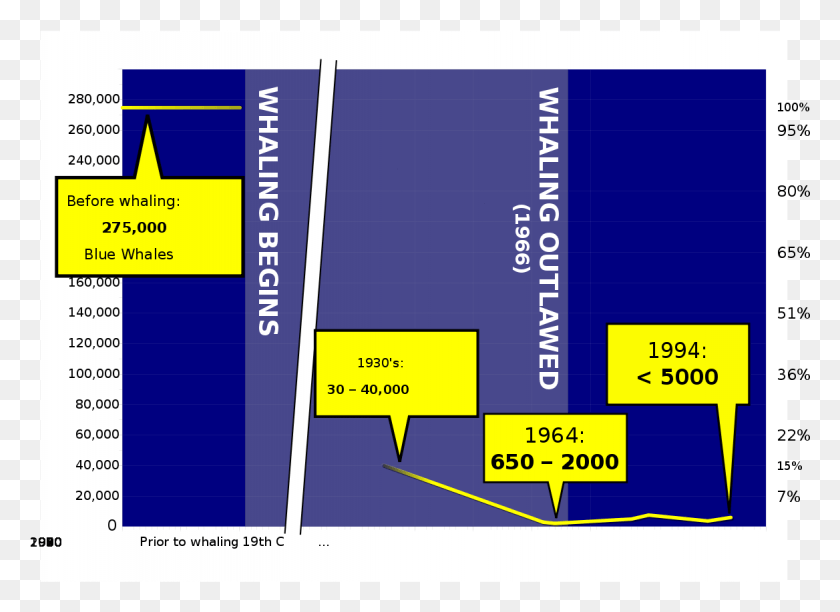 1168x828 Blue Whale Population Pengo Blue Whale Population Graph, Text, Scoreboard, Plot HD PNG Download