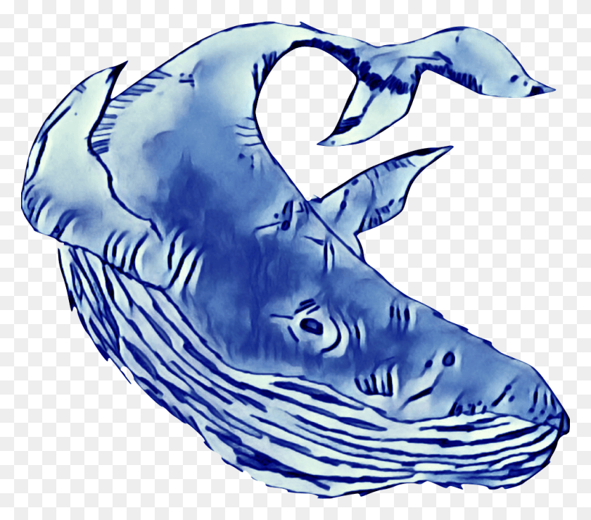 986x858 Blue Whale Trading Company, Animal, Bird, Water HD PNG Download