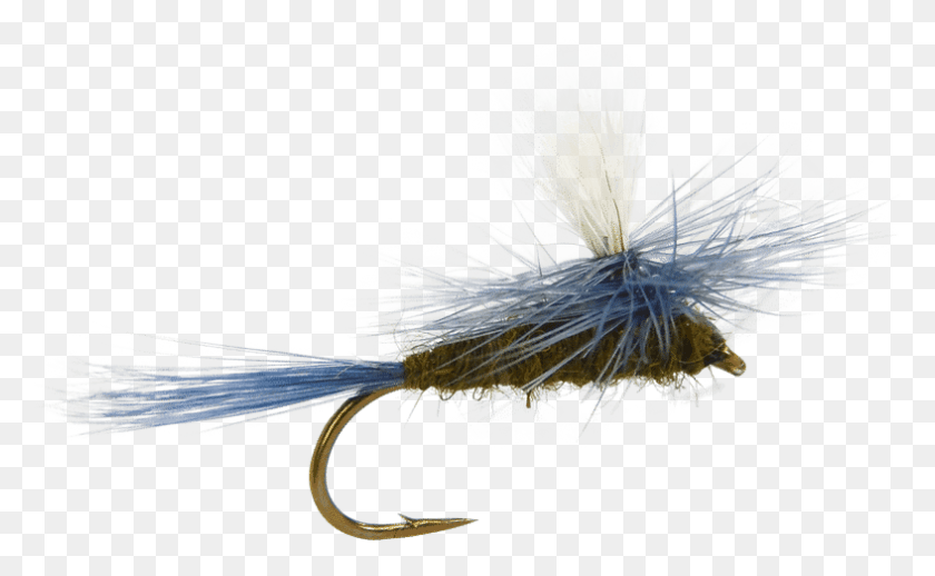 787x463 Blue Winged Olive Parachute Fly Fly Fishing Flies Fly Fishing, Plant, Bird, Animal Descargar Hd Png