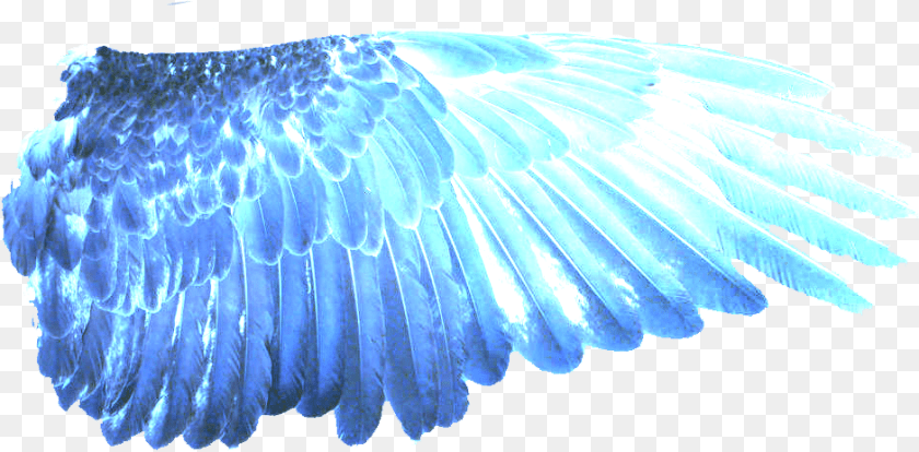 Blue Wings Eagle, Animal, Bird, Vulture Sticker PNG