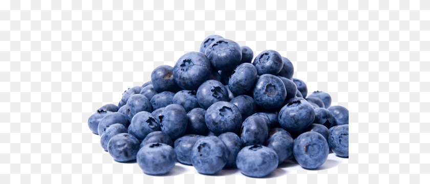 522x360 Blueberries, Berry, Blueberry, Food, Fruit PNG