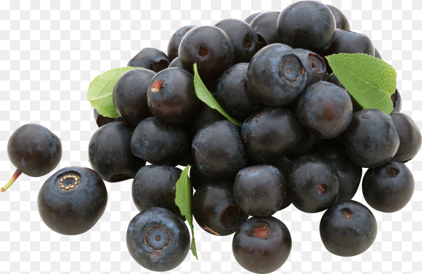 Blueberries Sticker PNG