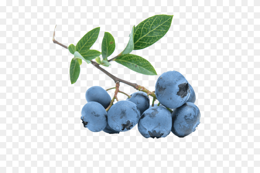 Blueberries, Berry, Blueberry, Food, Fruit Transparent PNG