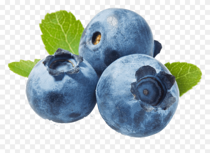 1732x1233 Blueberries Transparent Background Blueberry Clipart, Fruit, Plant, Food HD PNG Download