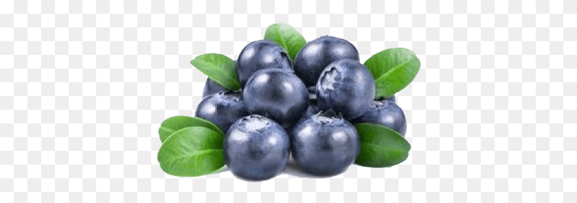 386x236 Blueberry, Plant, Fruit, Food HD PNG Download