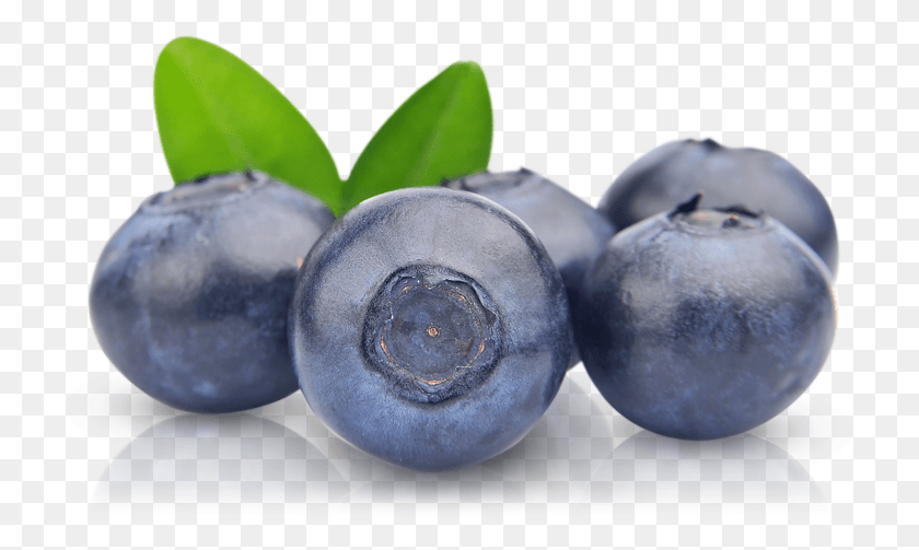 757x443 Arándano, Fruta, Planta, Alimentos Hd Png