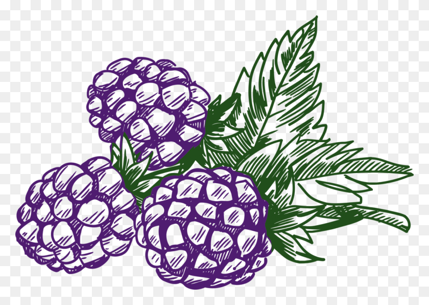 1091x750 Blueberry Clipart Purple Berry Blackberry Clipart Black And White, Plant, Food, Strawberry HD PNG Download
