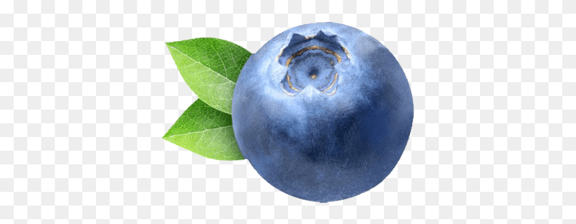 369x267 Blueberry Clipart Transparent Blueberry, Plant, Fruit, Food HD PNG Download