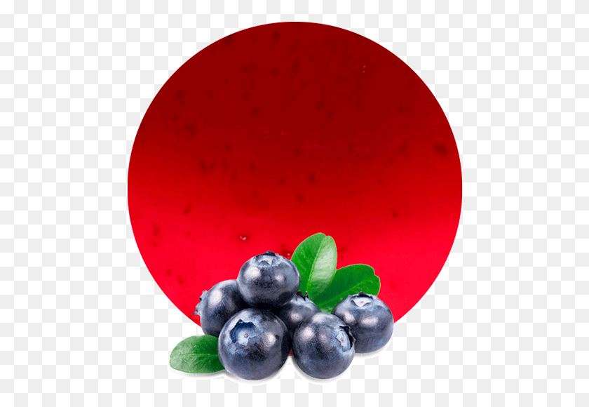 478x520 Blueberry Comminuted Blueberry, Plant, Fruit, Food HD PNG Download