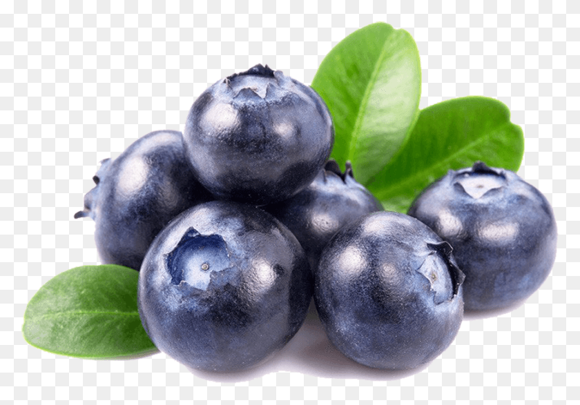 870x588 Blueberry Forest Blueberry, Planta, Fruta, Alimentos Hd Png