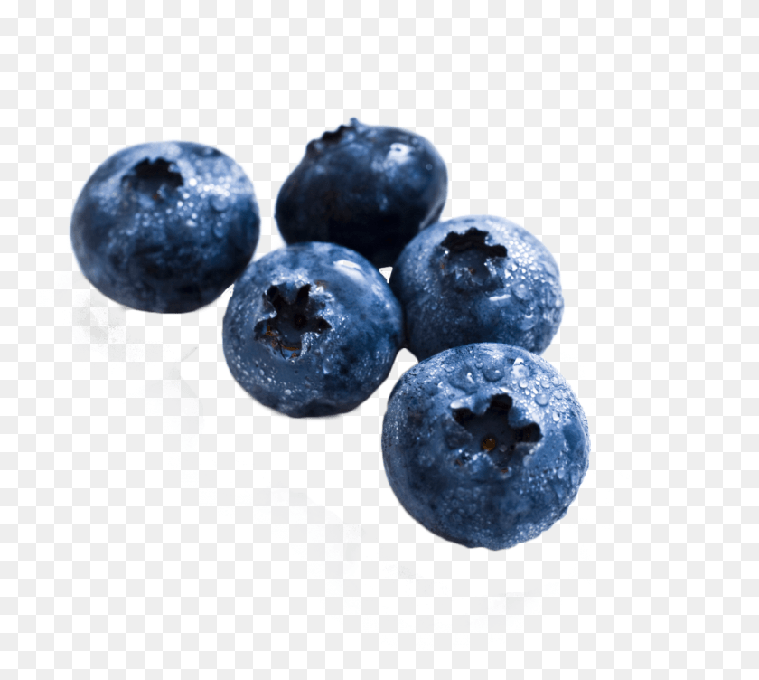 1200x1066 Blueberry Tot Fruit, Plant, Food, Fungus HD PNG Download