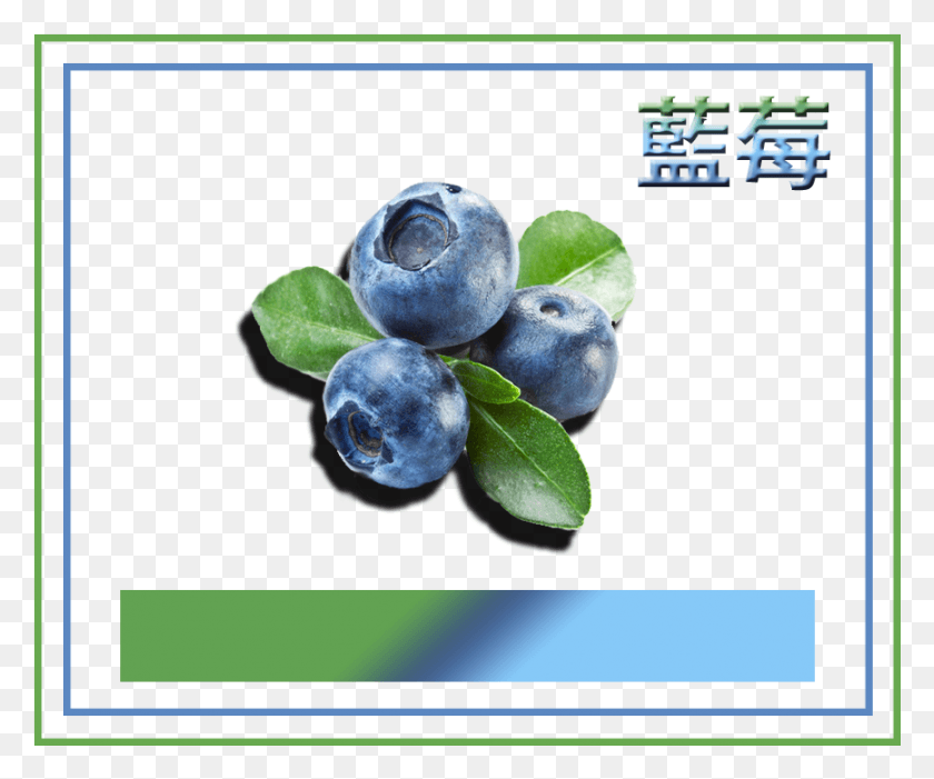 868x714 Blueberry Watercolour, Fruit, Plant, Food HD PNG Download