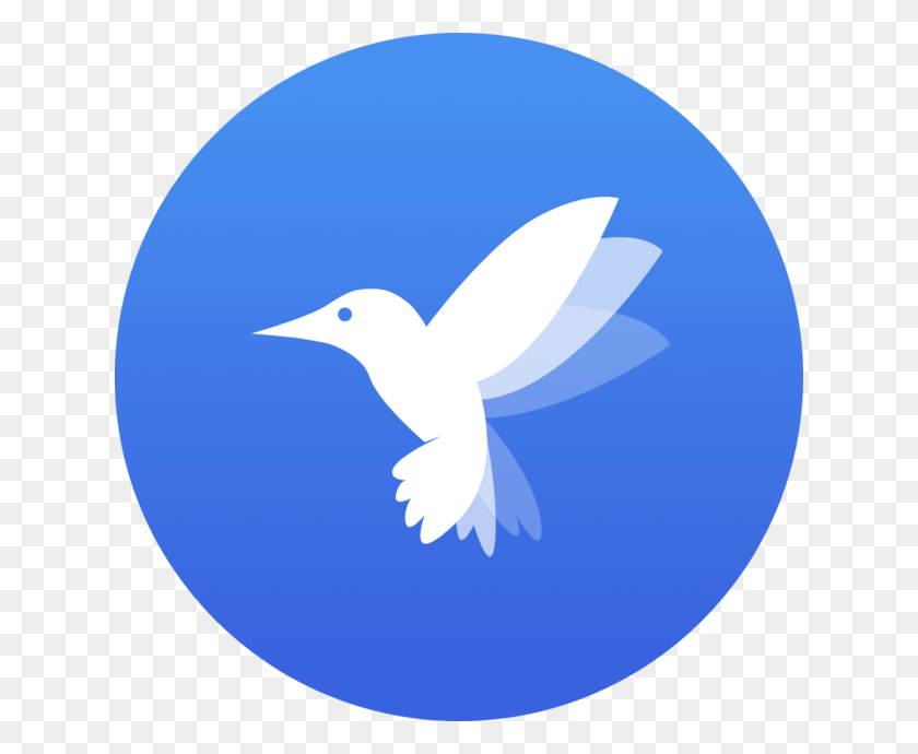 630x630 Bluebird 17 Hummingbird, Bird, Animal, Dove HD PNG Download