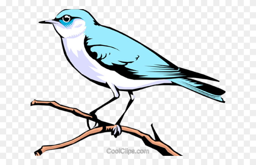 640x480 Bluebird Clipart Mountain Bluebird Mountain Bluebird, Jay, Bird, Animal HD PNG Download