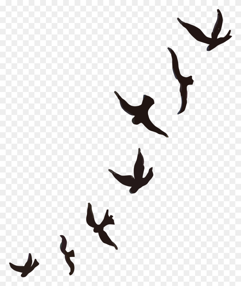 1048x1257 Bluebird Sparrow Cygnini Flock Of Birds Water Flock, Flying, Bird, Animal HD PNG Download