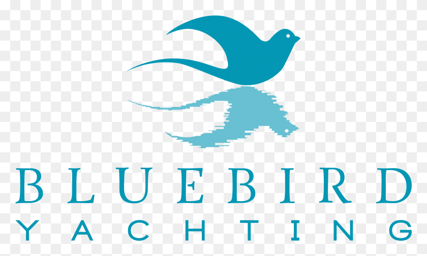 2168x1235 Bluebird Yachting Swallow, Bird, Animal, Text HD PNG Download