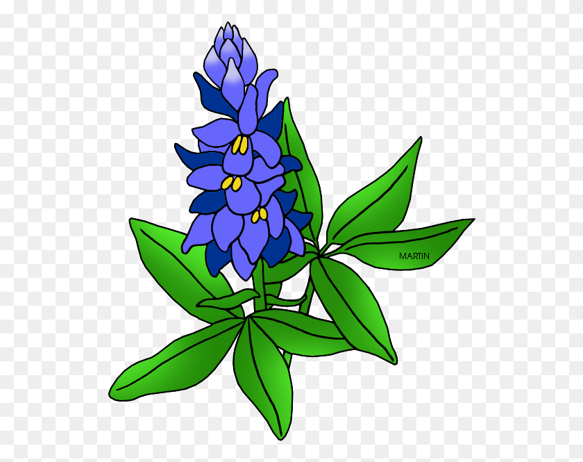 530x605 Descargar Png Bluebonnet Flor Estatal De Texas, Diseño Floral Hd Png