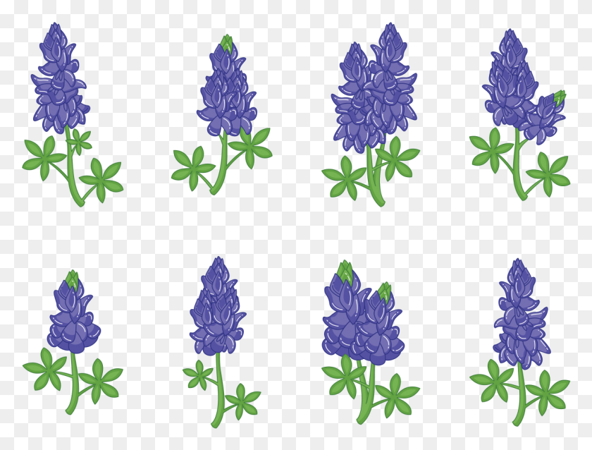 Bluebonnet Flower Vectors, Plant, Blossom, Lupin HD PNG Download download f...