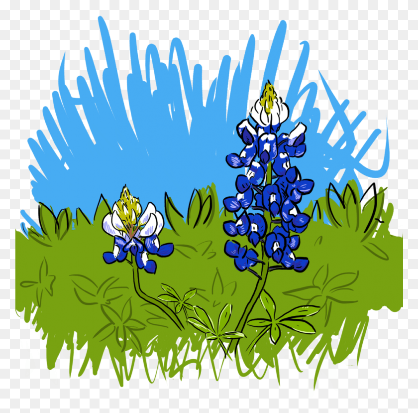 1001x987 Bluebonnets, Graphics, Animal HD PNG Download