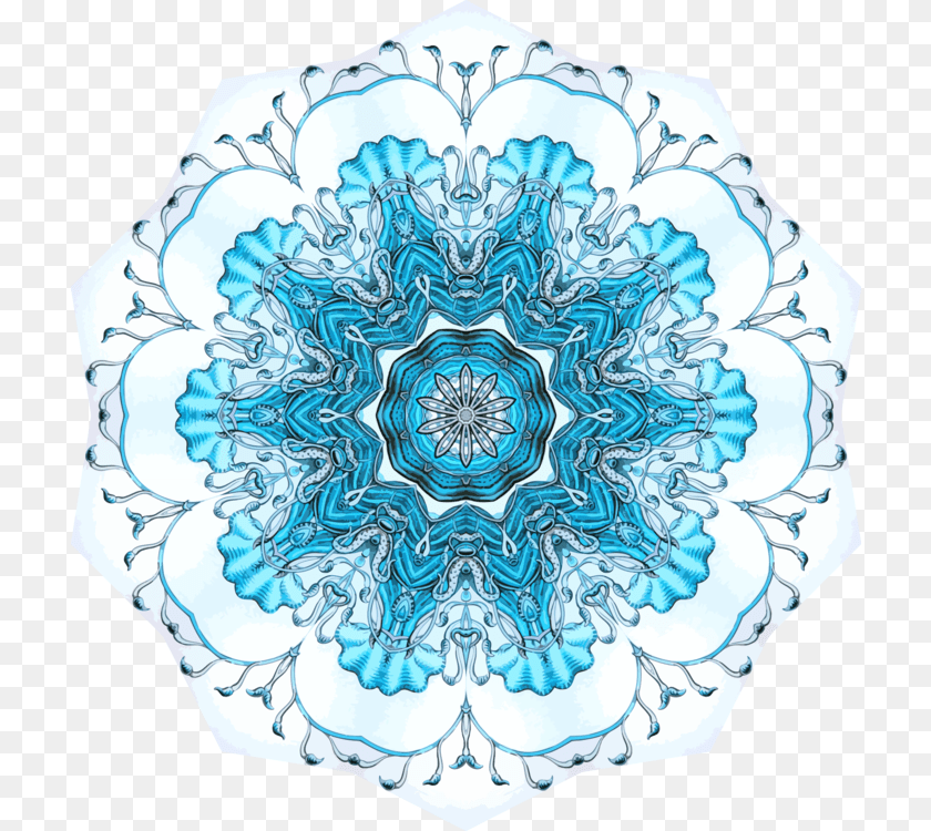 Blueturquoiseflower Circle, Outdoors, Nature, Pattern, Plate Sticker PNG