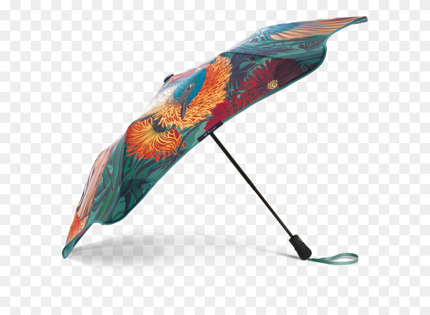 601x556 Тупой Зонт Flox Design Flox Blunt Umbrella, Птица, Животное, Навес Png Скачать