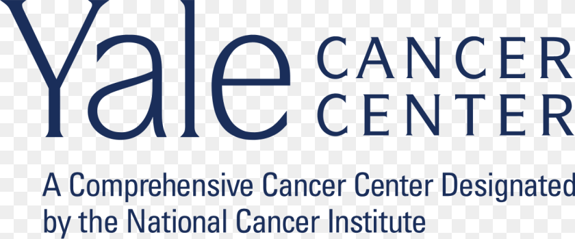 1200x499 Bms Announces Expansion Of The International Immuno Oncology Yale Cancer Center Logo, Text PNG