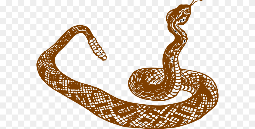 600x428 Boa Clipart Desert Snake, Animal, Reptile, Smoke Pipe Transparent PNG