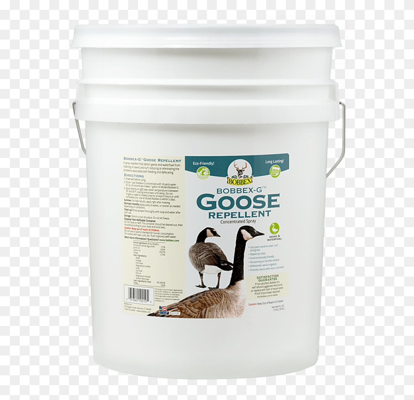 577x750 Bobbex G Goose Mallard, Bird, Animal, Bucket HD PNG Download