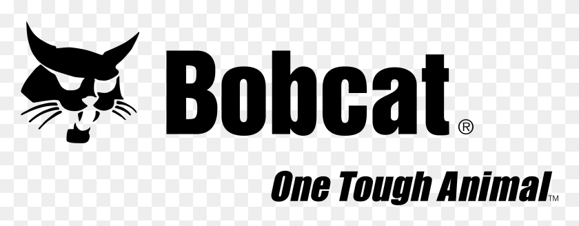 2983x1026 Bobcats Logo Bobcat, Gray, World Of Warcraft HD PNG Download