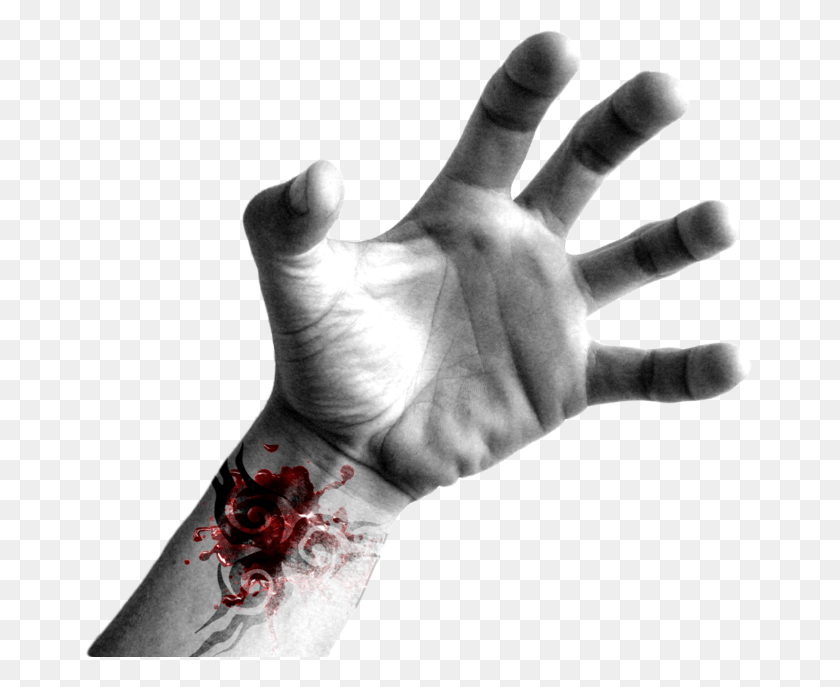669x627 Body 009 Horror Hand Transparent Background, Wrist, Person, Human HD PNG Download