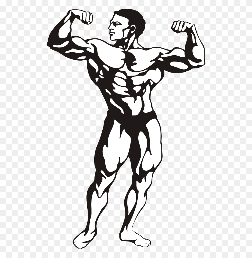 530x800 Body Building Clip Art, Stencil, Hand, Person HD PNG Download