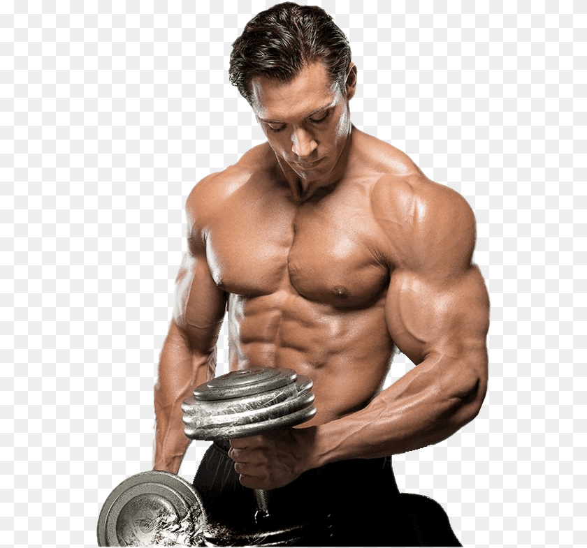 568x785 Body Fitness, Adult, Person, Man, Male Clipart PNG