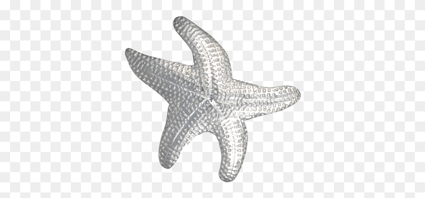 350x331 Body Jewelry, Sea Life, Animal, Invertebrate HD PNG Download